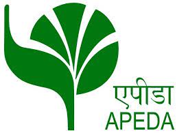 APEDA logo